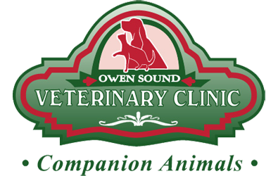 Owen Sound Veterinary Clinic in Owen Sound, Ontario
